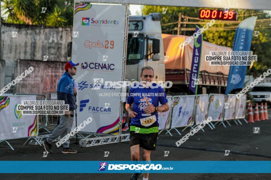 APAE Day Run Rolândia 2023