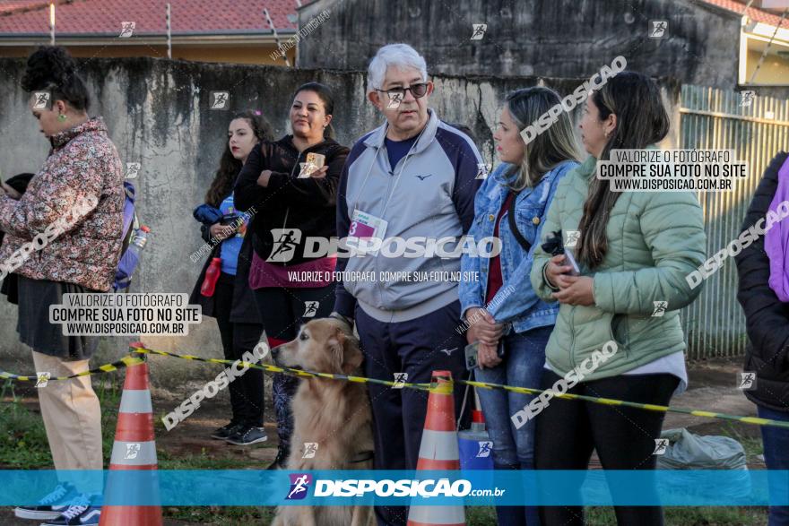 APAE Day Run Rolândia 2023