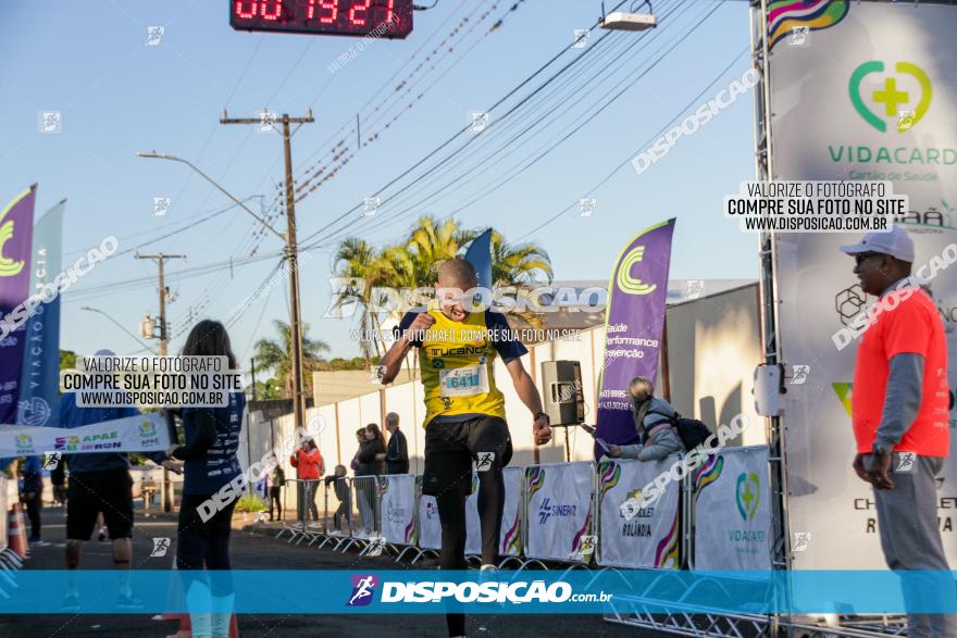 APAE Day Run Rolândia 2023