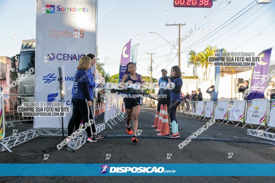 APAE Day Run Rolândia 2023