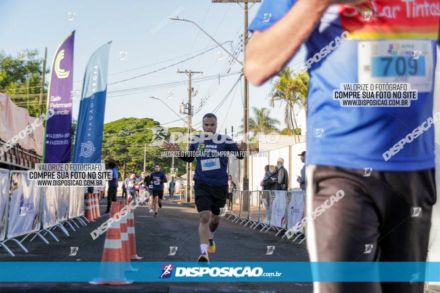 APAE Day Run Rolândia 2023