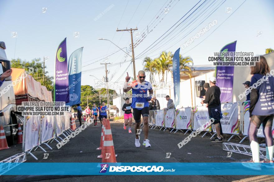 APAE Day Run Rolândia 2023