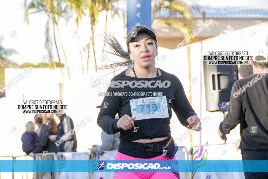 APAE Day Run Rolândia 2023