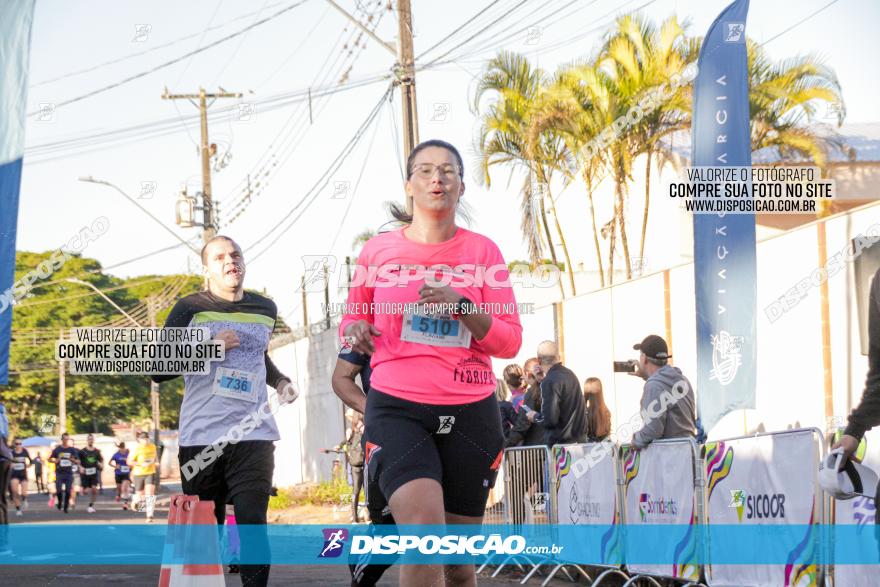 APAE Day Run Rolândia 2023