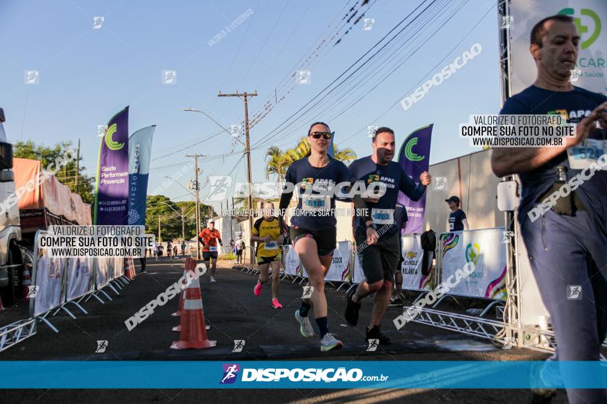 APAE Day Run Rolândia 2023