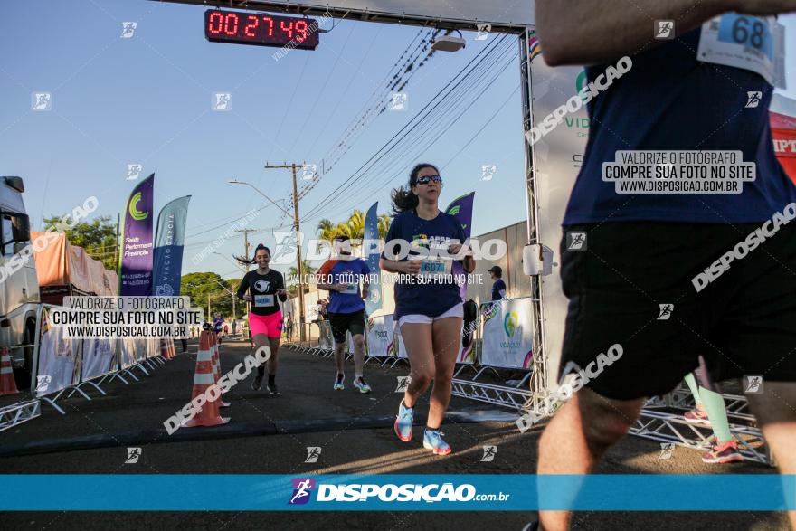 APAE Day Run Rolândia 2023