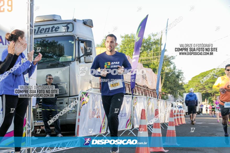 APAE Day Run Rolândia 2023