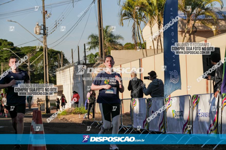 APAE Day Run Rolândia 2023