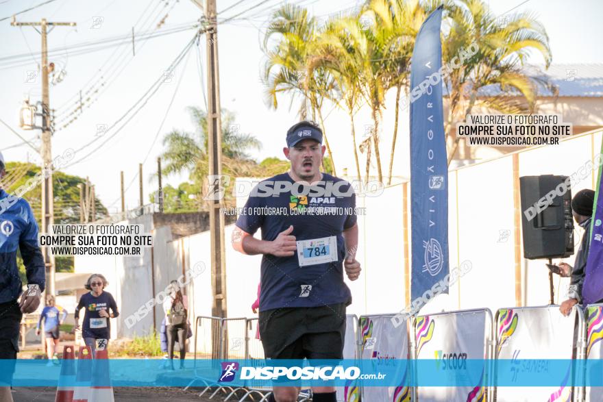 APAE Day Run Rolândia 2023