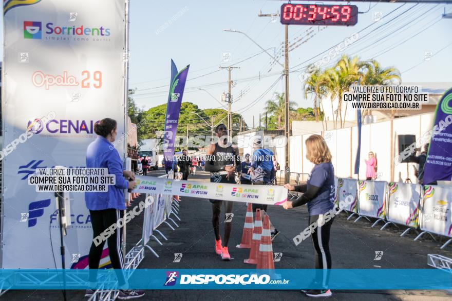 APAE Day Run Rolândia 2023