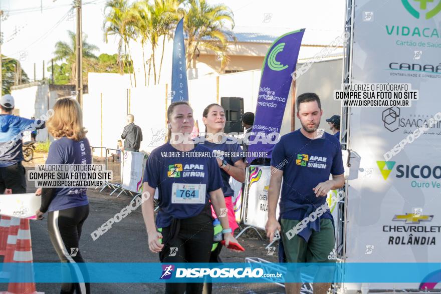 APAE Day Run Rolândia 2023