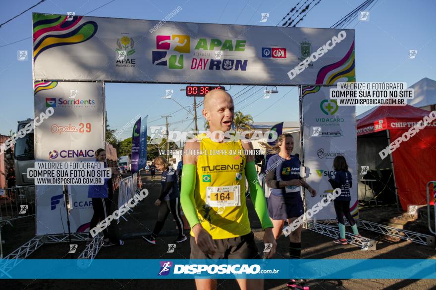 APAE Day Run Rolândia 2023