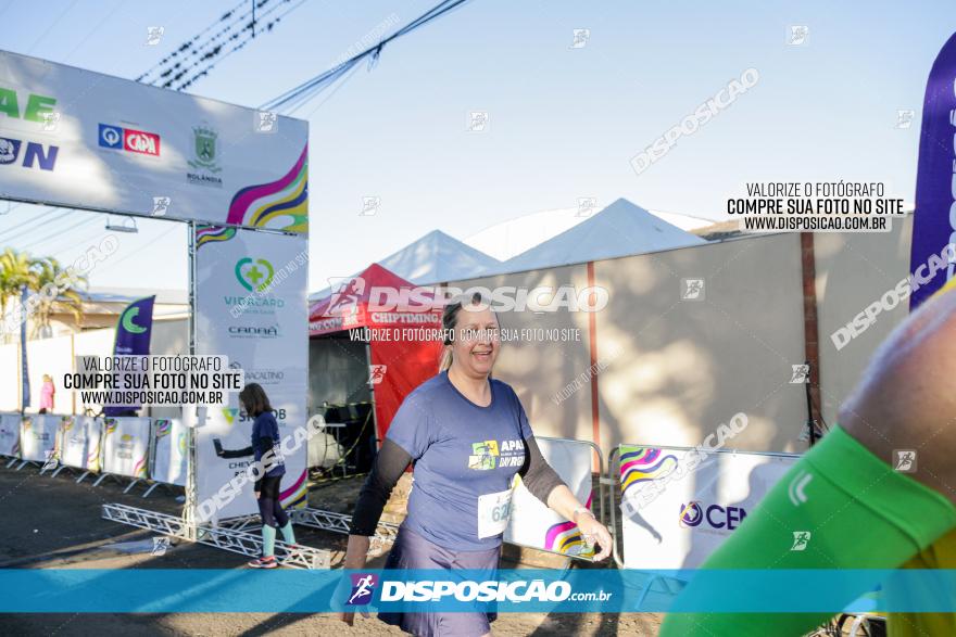 APAE Day Run Rolândia 2023