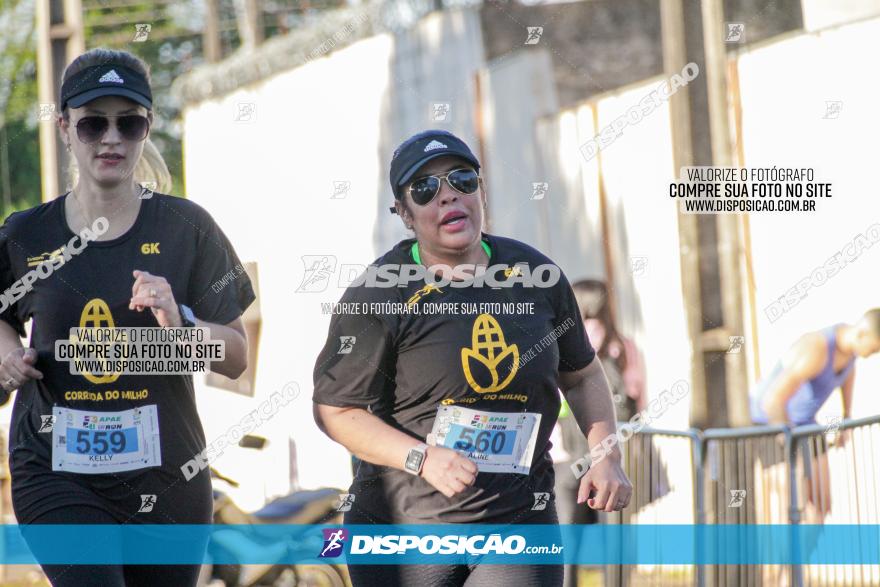 APAE Day Run Rolândia 2023