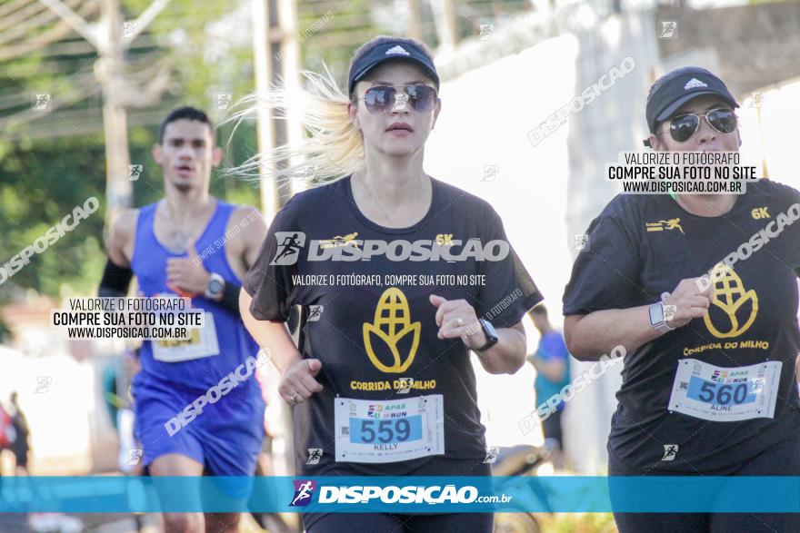 APAE Day Run Rolândia 2023