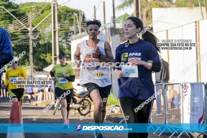 APAE Day Run Rolândia 2023