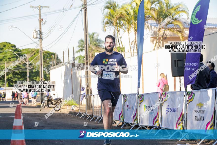 APAE Day Run Rolândia 2023