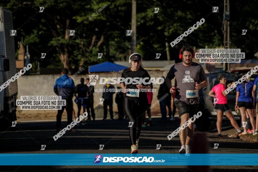 APAE Day Run Rolândia 2023