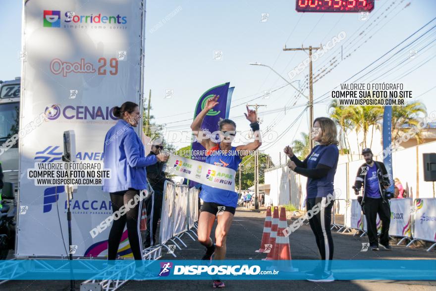 APAE Day Run Rolândia 2023