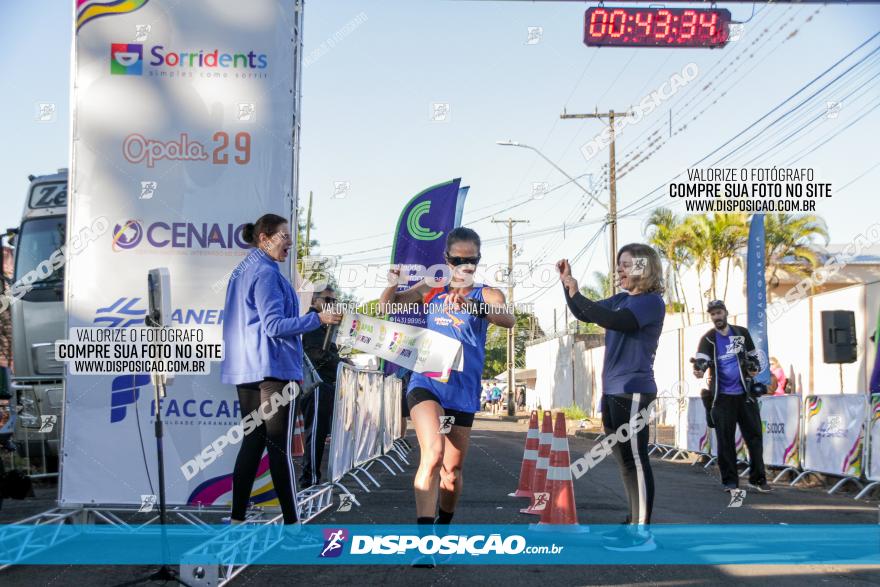 APAE Day Run Rolândia 2023