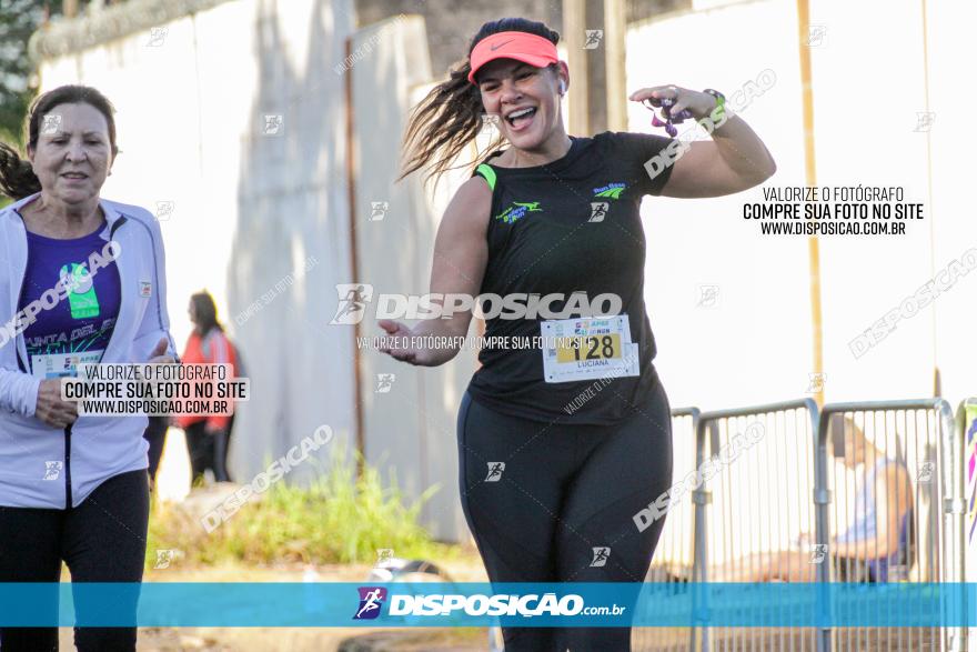 APAE Day Run Rolândia 2023