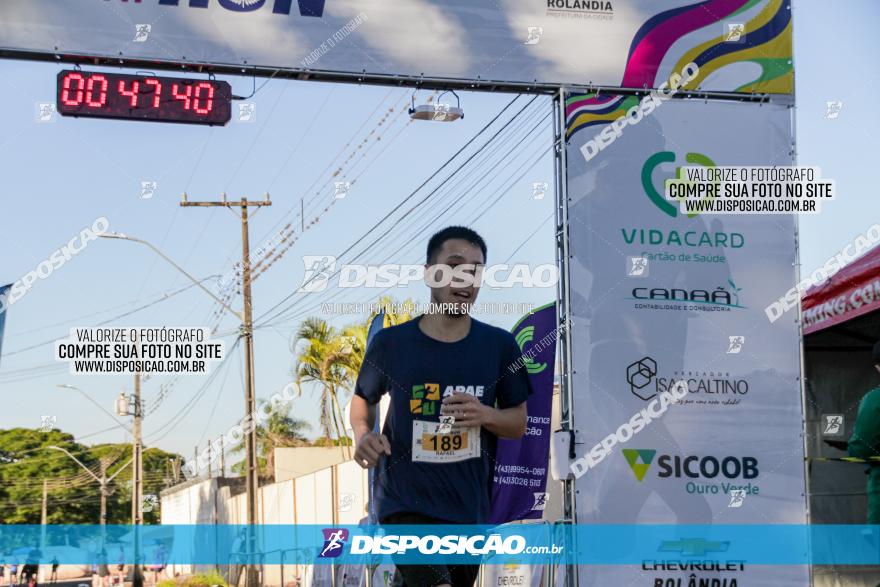 APAE Day Run Rolândia 2023