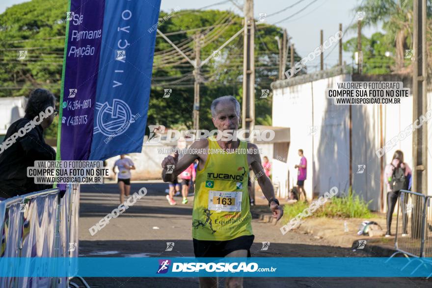 APAE Day Run Rolândia 2023