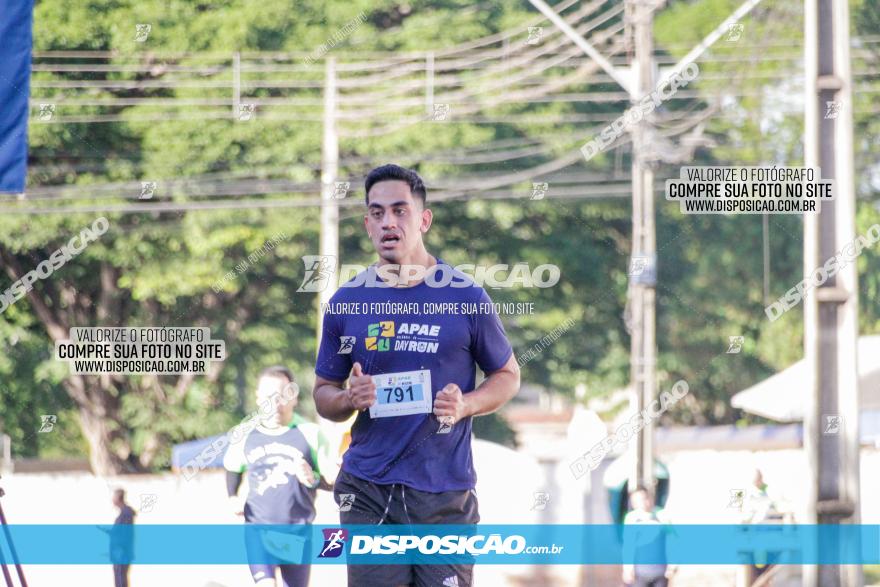 APAE Day Run Rolândia 2023