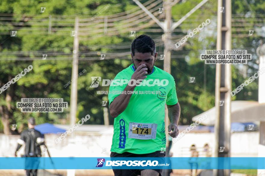 APAE Day Run Rolândia 2023