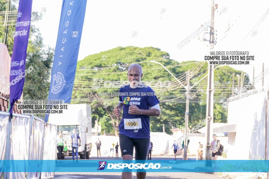 APAE Day Run Rolândia 2023