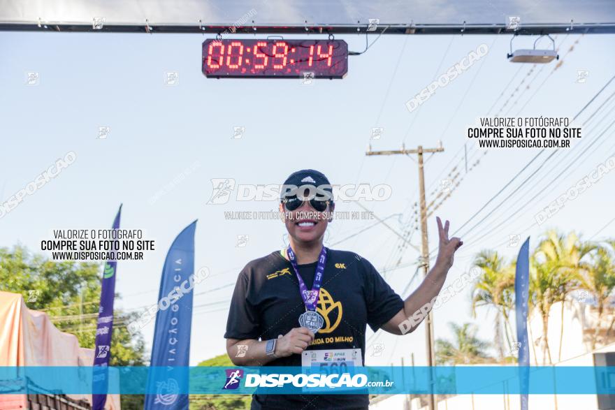 APAE Day Run Rolândia 2023