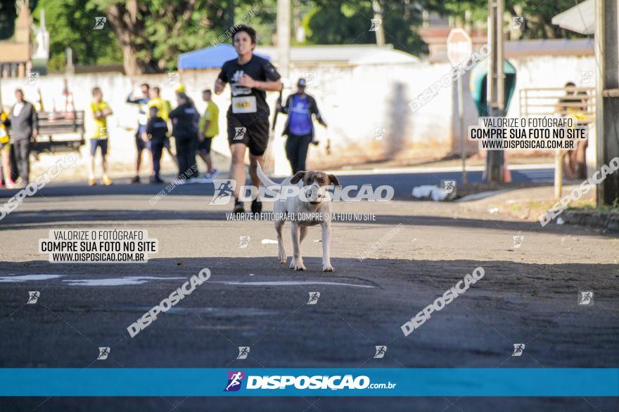 APAE Day Run Rolândia 2023