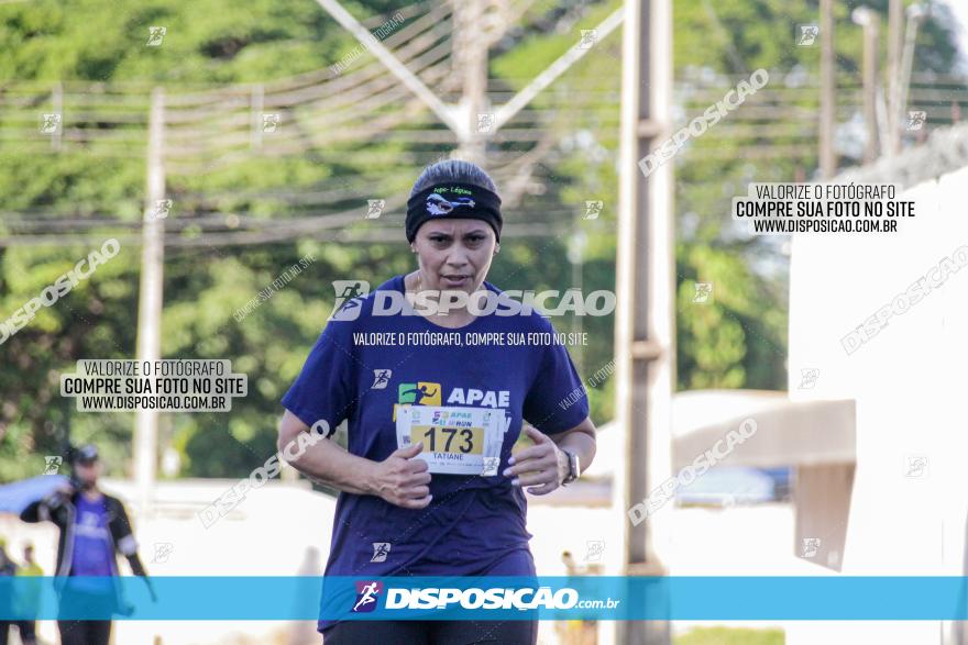 APAE Day Run Rolândia 2023