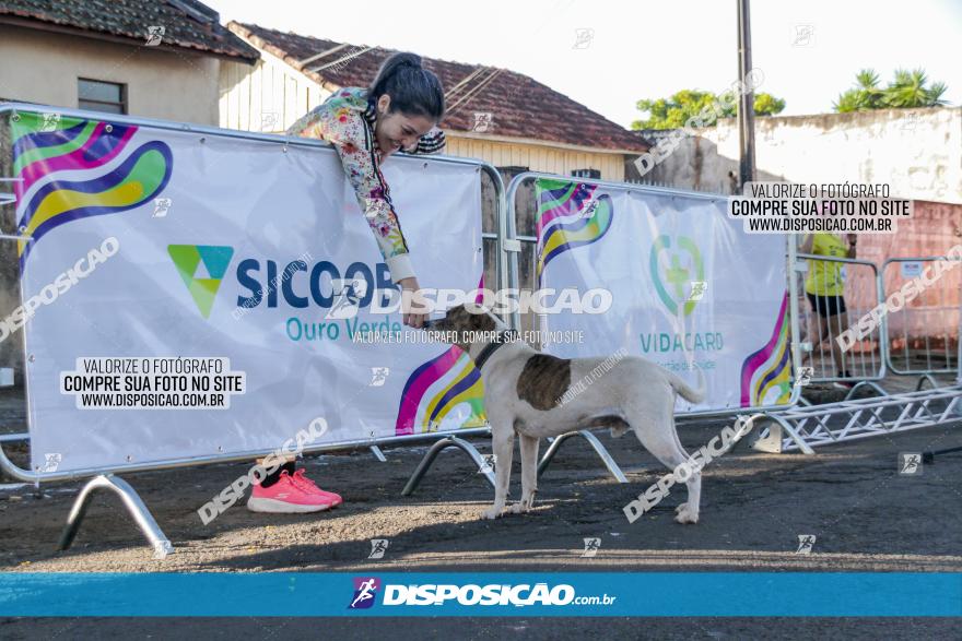 APAE Day Run Rolândia 2023