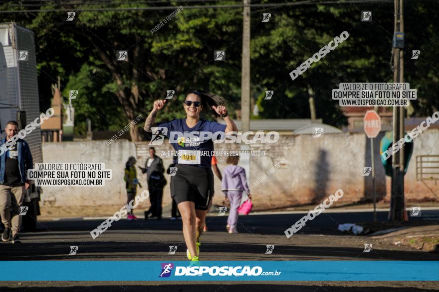 APAE Day Run Rolândia 2023