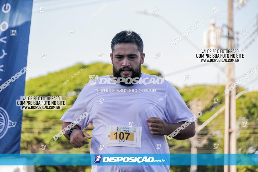 APAE Day Run Rolândia 2023