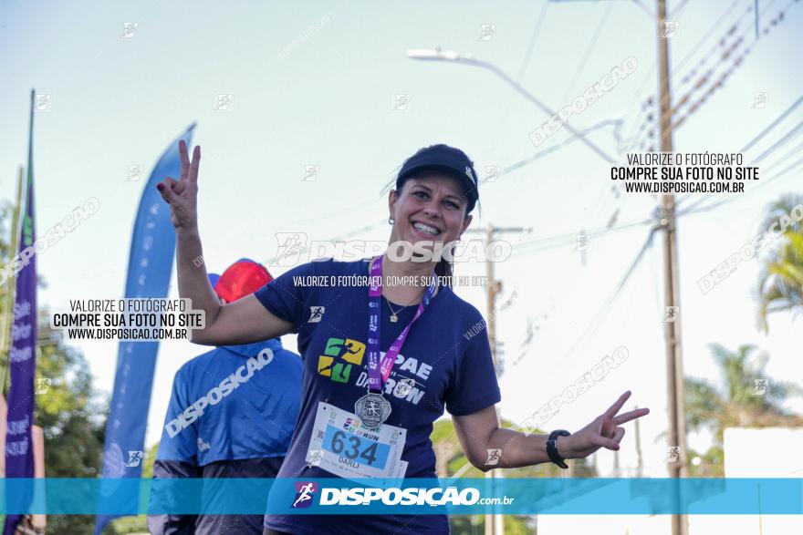 APAE Day Run Rolândia 2023