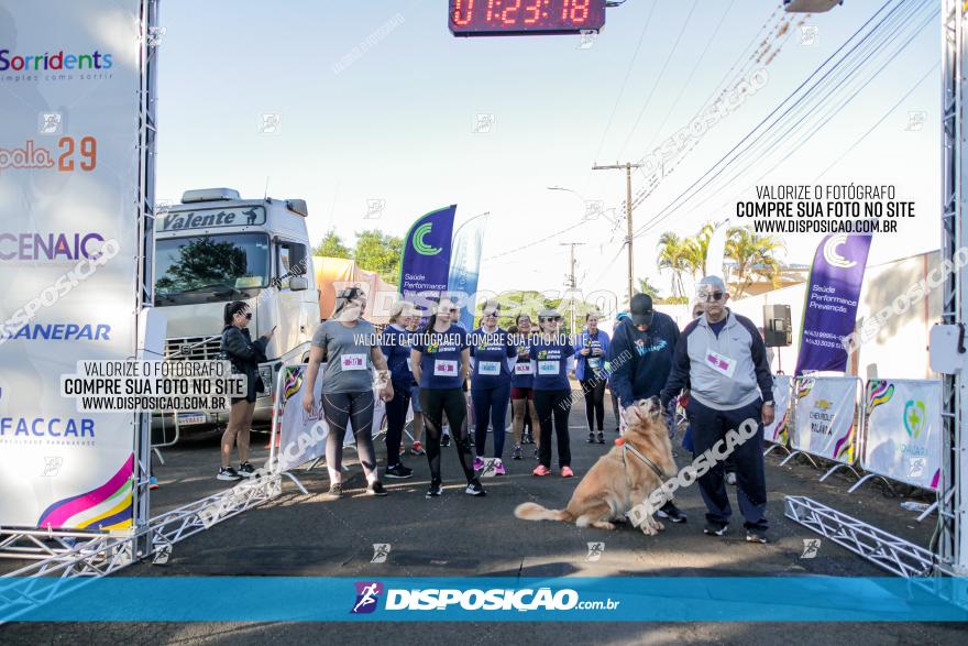 APAE Day Run Rolândia 2023