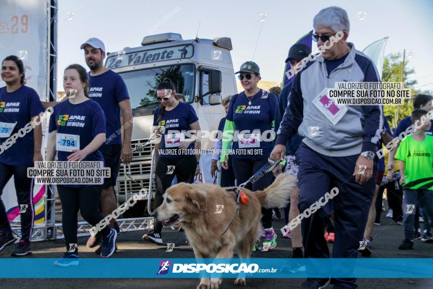 APAE Day Run Rolândia 2023