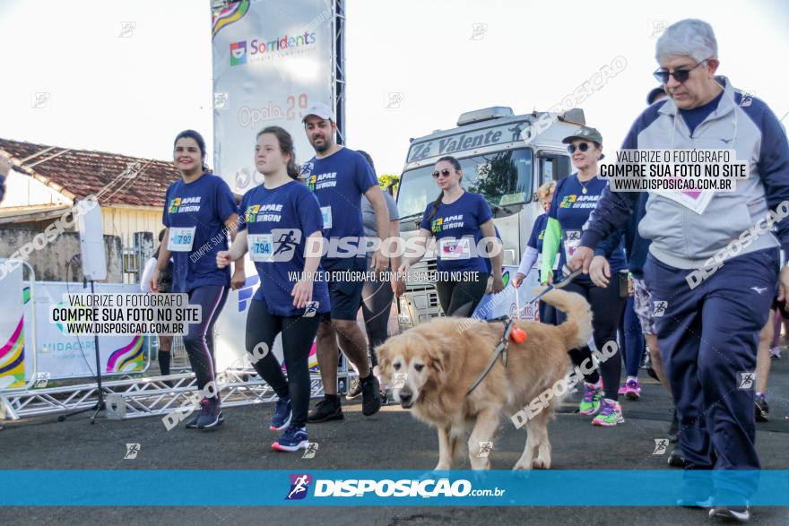 APAE Day Run Rolândia 2023