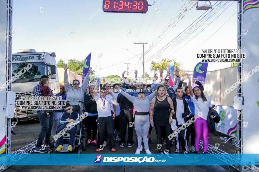 APAE Day Run Rolândia 2023