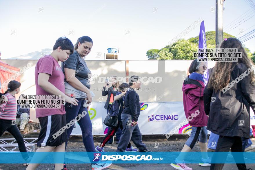 APAE Day Run Rolândia 2023