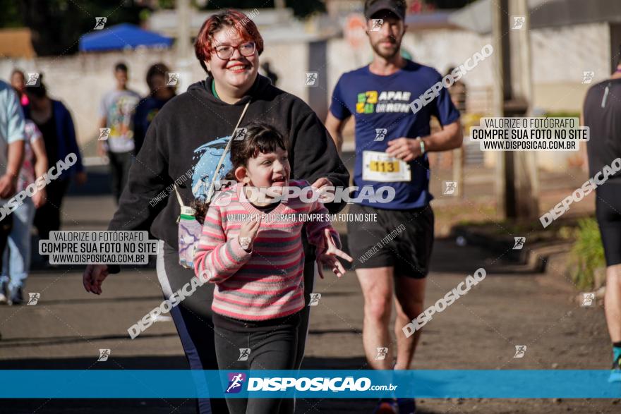 APAE Day Run Rolândia 2023