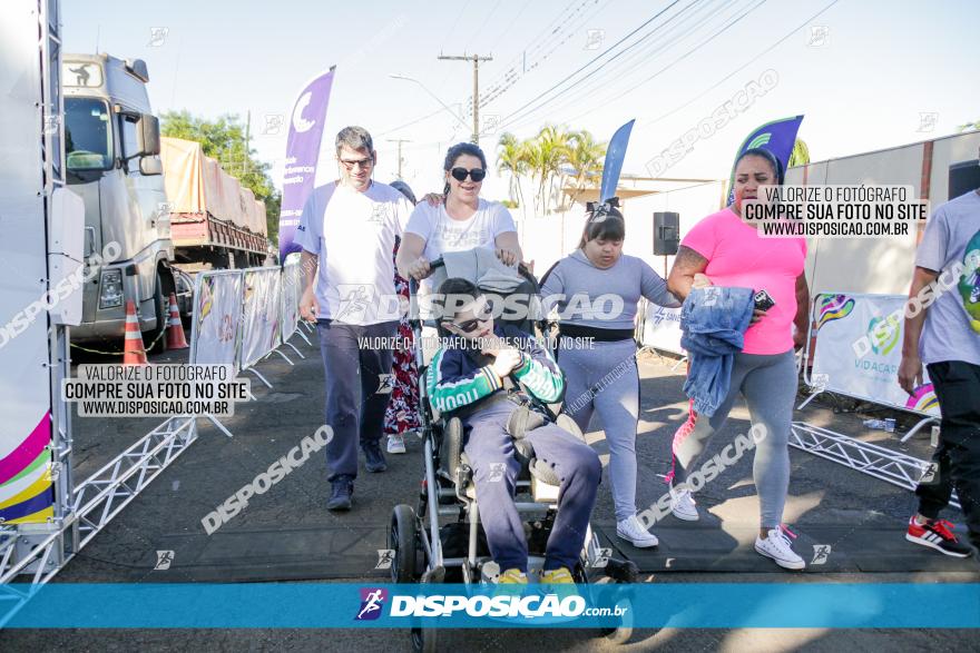 APAE Day Run Rolândia 2023