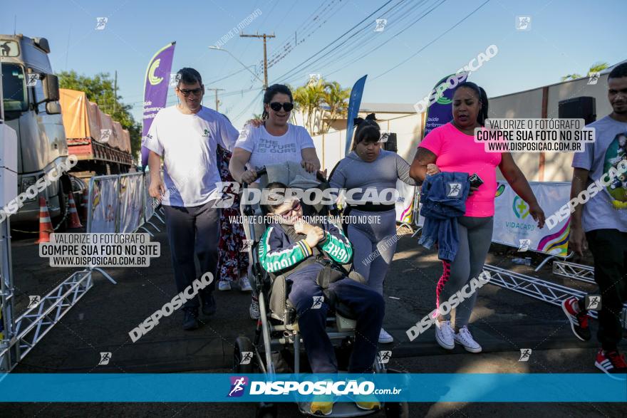 APAE Day Run Rolândia 2023