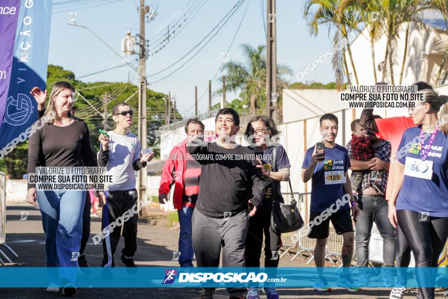 APAE Day Run Rolândia 2023