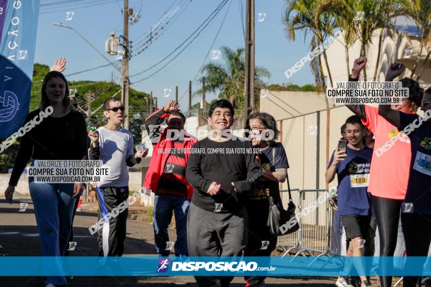 APAE Day Run Rolândia 2023