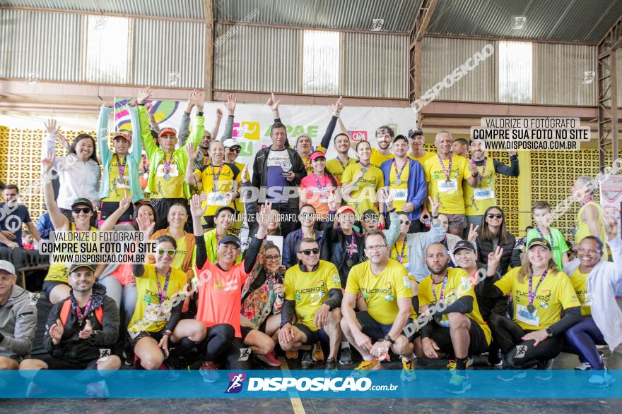 APAE Day Run Rolândia 2023