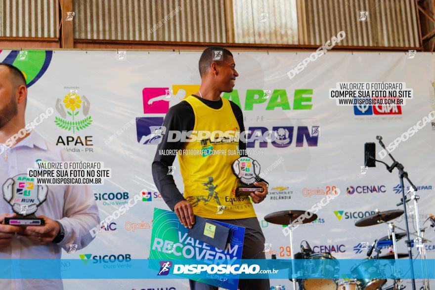 APAE Day Run Rolândia 2023