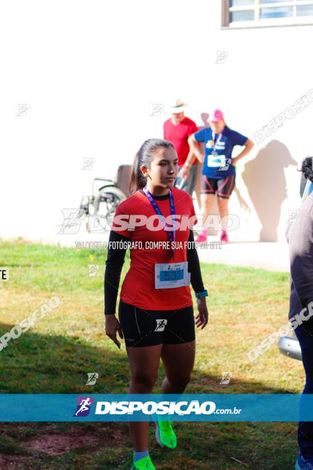 APAE Day Run Rolândia 2023